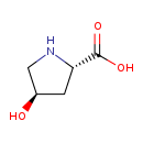 T Db Hydroxyproline